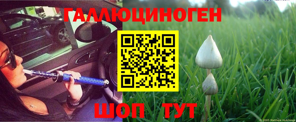Галлюциногенные грибы Psilocybine cubensis Сафоново